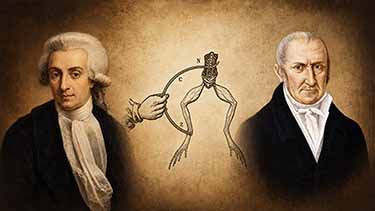Galvani Volta